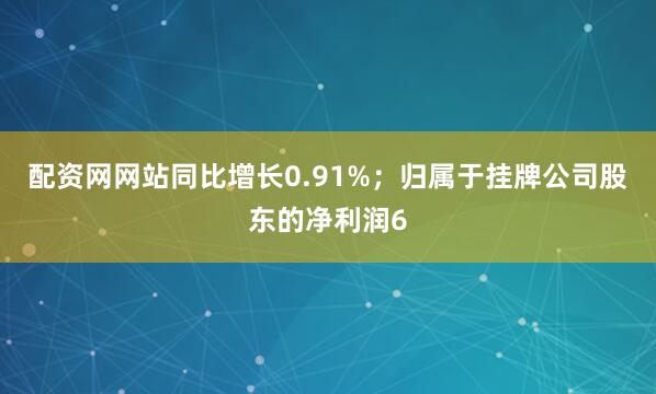 配资网网站同比增长0.91%；归属于挂牌公司股东的净利润6