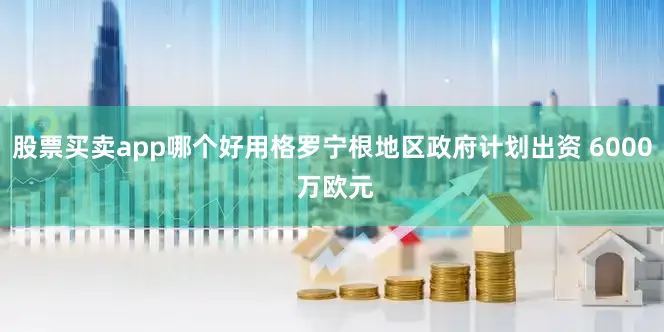 股票买卖app哪个好用格罗宁根地区政府计划出资 6000 万欧元